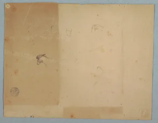 Details of Donkey Heads, South America, 1853