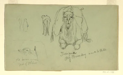 Dromedary; Old House on M, February 1868