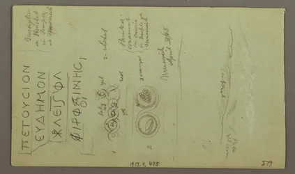 Facade of the Parrelorium, April 28, 1868