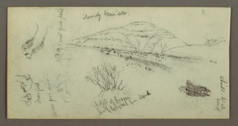 Hill, Shrubbery, Figure, Camel Studies, possibly 1868