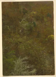 Hillside Covered with Bushes and Trees, July 1865