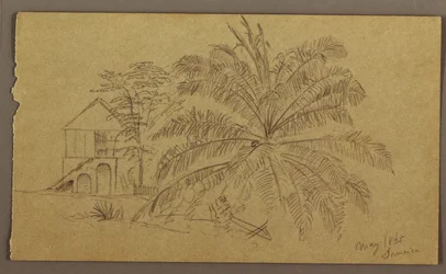 House and Fern, May 1865