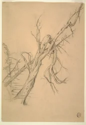 Indian Encampment, Grand Manan, Bay of Fundy, September 1851