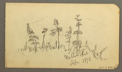 Lake Looking Toward Mt. Katahdin, 1878