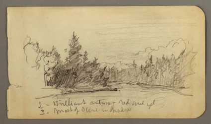 Lake Surrounded by Trees, Possibly 1878