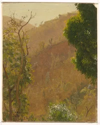 Landscape, July 1865