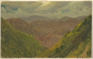 Landscape in Jamaica, West Indies, May–August 1865