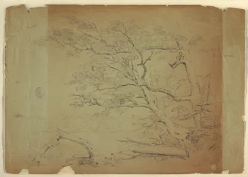 Landscape with Trees and a Stream, Grand Manan Island, Canada, September 1851