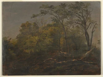 Maine Woods, 1845–55