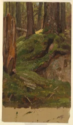 Maine? woods, 1855–65