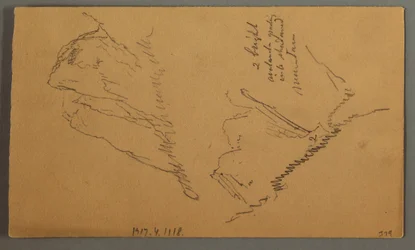 Man in a boat, Rocky Peak over Pines, possibly 1868