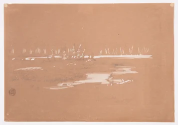 Marshy Landscape near Millinocket, September 20, 1878