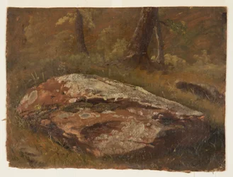 Mossy Rock, August 1845