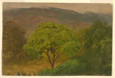 Mountain Landscape, August 1865