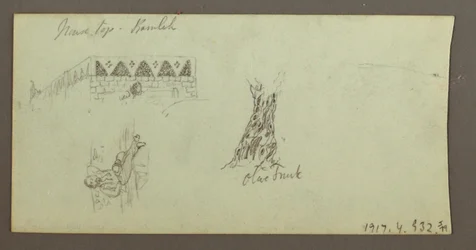 Mountain Range, February 1868