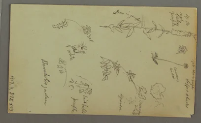 Mountain Study, possibly 1868