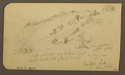 Mountain, Zapotlan; Verso: Wooded Hillside, Cuitzeo Lake, January 1885