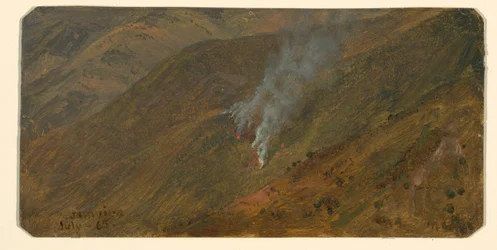 Mountainside with Brush-fire, June 1865