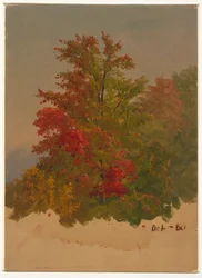 Mt. Desert Island?, Maine, October 1860