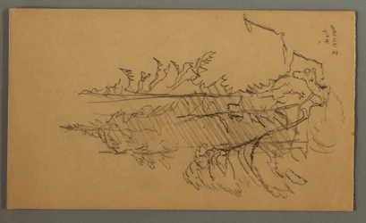 Pine Trees, possibly 1868