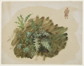 Plant Studies, 1865