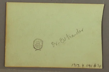 Plant Studies, possibly 1856