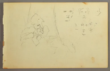Plant Study, Faces, possibly 1844