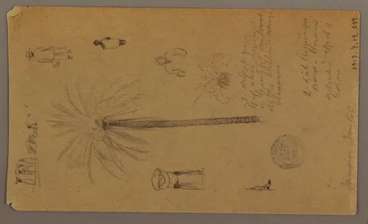 Sketches from Jamaica, West Indies, June 1865