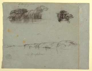 Sketches of Trees, Vines and a Bank of the Rio Magdalena, Colombia, 1853, probably May