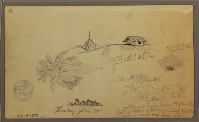 Sky over the Sea; Verso: Botanical Sketches, Rooftops, May 1857