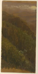 Steep Hillside, July 1865