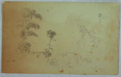 Studies of Trees with Details of Bamboo and a Small Detail of a Man Carrying Bananas on His Head, Bellevue, Jamaica, August 1865