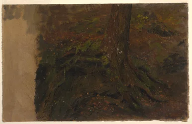 Study of a Tree Trunk, 1850–60