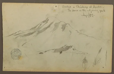 Sunrise on Mt. Chimborazo and Three Details of Grass, September 1853