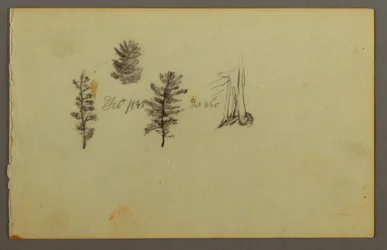 Three Evergreens, 1845