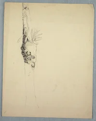 Tree Trunk with Parasitical Plants, Jamaica, May–August 1865