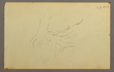 Tree Roots, 1844