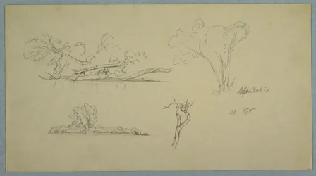 Trees, a Shore with Bushes and Trees, September 1876