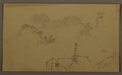 Trees, Figure, House Linstead, May 1865