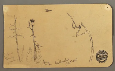 Trees, Flying Bird, 1877