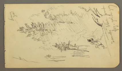 Trees in Fog, possibly 1878