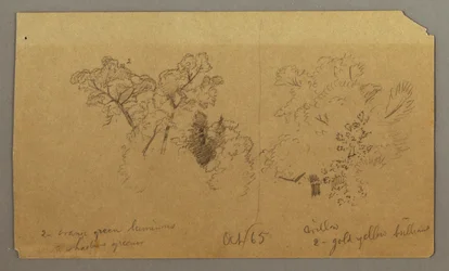 Two Tree Studies, October 1865