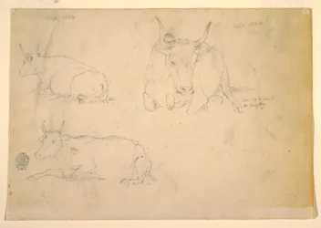 Views of crouching cattle, September 1844