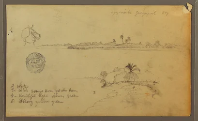 Views of the East Bank of the Guayas River, opposite Guayaquil, Ecuador, May 1857