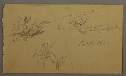 White Lily, Moon, possibly 1865-66