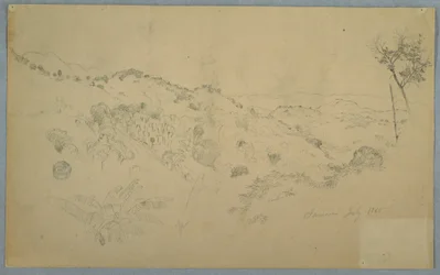 Drawing, Wooded Vale with a Large Fern and Distant Mountain Ranges, Jamaica, July 1865