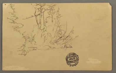 Wooded bank, possibly 1877
