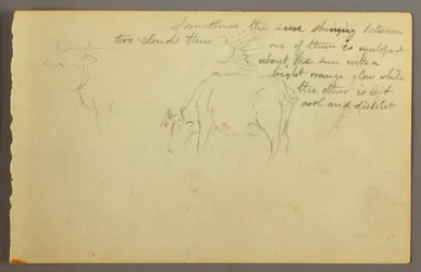 Rays Between Clouds, Bulls, possibly 1877