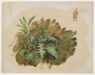 Plant Studies