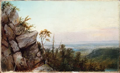 Rocks and Landscape